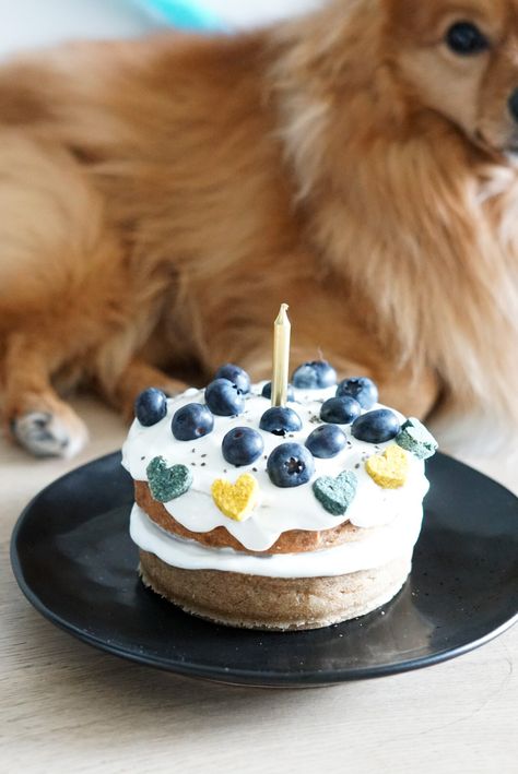 dog birthday cake Dog Meat Cake, Easy Dog Cake, Dog Cake Recipe, Meat Cake, Dog Cake Recipes, Cake Easter, Easter Dog, Dog Treats Homemade Recipes, Dog Cakes