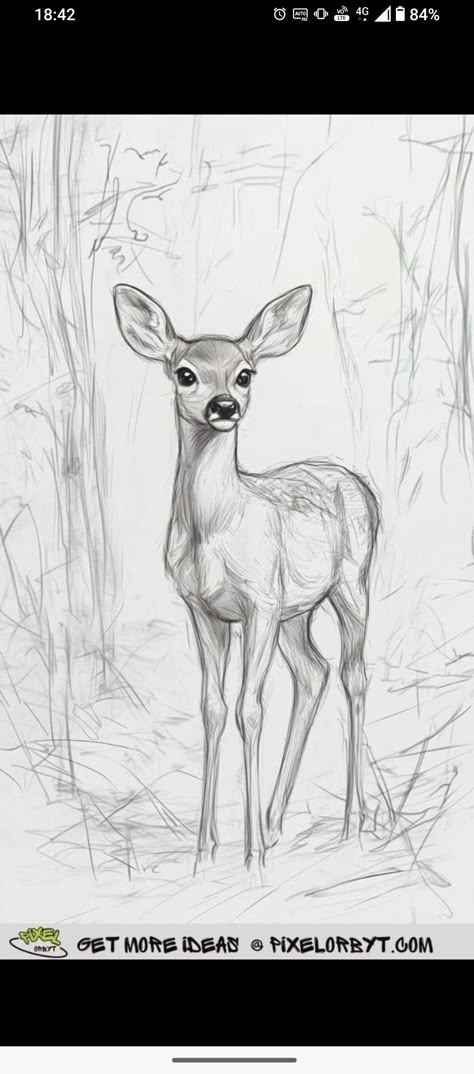 Dear Sketch Drawings, Beautiful Nature Sketches, Cute Woodland Creatures Drawing, Sketches Drawings Pencil, Deer Drawing Watercolor, Animal Sketching Ideas, Drawing Forest Animals, Drawing Of Deer Easy, Nature Animal Drawing