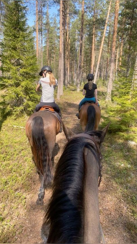 Horseback Riding Outfit, Aesthetic Equestrian, Riding Outfit Equestrian, Travel To Australia, Horsey Life, Horse Riding Aesthetic, Horseback Riding Outfits, Equestrian Aesthetic, Cute Horse Pictures