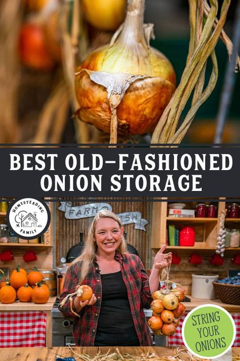 How To Store Onions For Winter, Storing Onions In Kitchen, Onion Storage Ideas How To Store, How To Dry Onions For Storage, Onion Curing Rack, Drying Onions For Storage, Braiding Onions For Storage, How To Keep Onions Fresh How To Store, Long Term Potato Storage