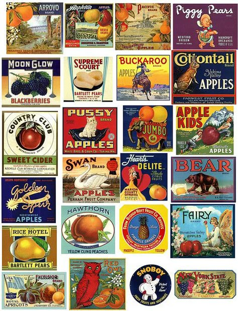 OMG Free Printable Vintage Fruit Labels...lovely now I have use for the cans I have been saving! Fruit Collage, Fruit Labels, Fruit Crate Label, Label Art, Fruit Crate, Crate Label, Free Fruit, Miniature Printables, Fruit Box