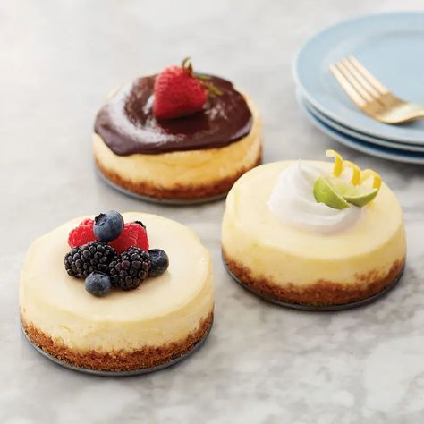 Springform Pan Recipes, Holiday Cheesecake Recipes, Small Cheesecakes, Cheesecake Recipes Classic, Mini Cheesecake Recipes, Chocolate Crust, Homemade Cheesecake, Classic Cheesecake, Mini Treats