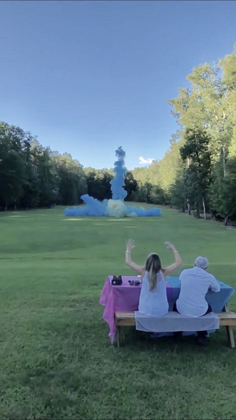 Gender Reveal Tannerite, Tannerite Gender Reveal, Gender Reveal Pictures, Gender Reveal Dress, My Dream Future, Baby Gender Reveal Party Decorations, Pregnancy Gender Reveal, Country Baby Shower, Pregnancy Gender