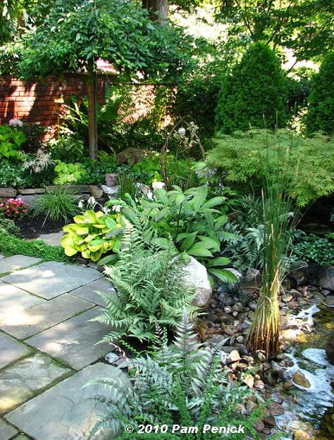 foliage and water feature Traditional Landscape, Landscaping Tips, Patio Stones, Back Garden, Garden Paths, Small Backyard, Shade Garden, Outdoor Design, Garden Planning