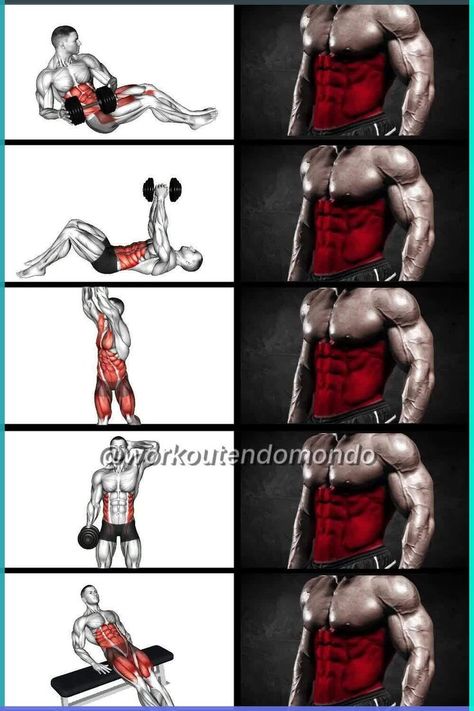 Abb Workout Dumbell, All Dumbbell Workout, Abs Workout Routines With Weights, Dumbbell Abs Workout, Abs With Dumbbells, Abs Dumbbell Workout, Abs Workout At Gym, Abs Workout With Dumbbells, Exercises For Core Strength