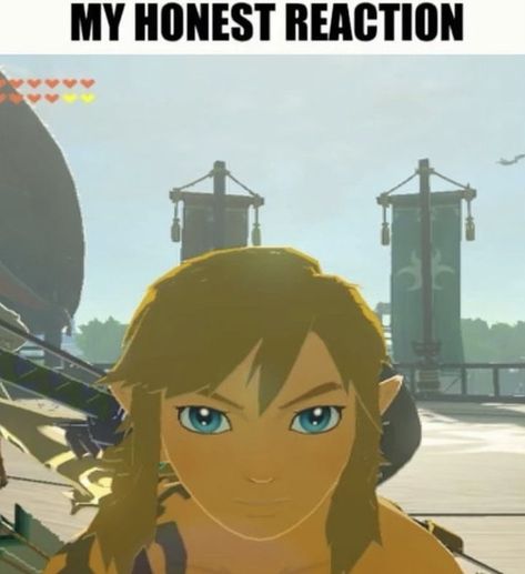 Thug Shaker, Skibidi Slicers, Zelda Pictures, Link Botw, Zelda Totk, Link Meme, Cheetah Print Wallpaper, Legend Of Zelda Memes, Zelda Funny