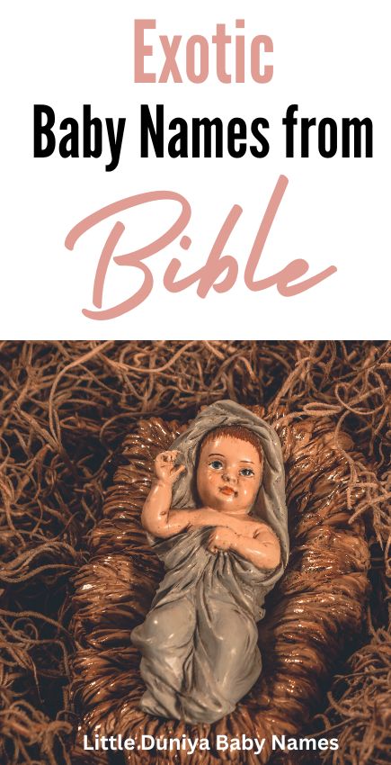 Exotic Biblical Girl Names with Meaning |
Exotic Biblical Girl Names are significant because they are derived from the Bible, the holy book of Christianity. These names often carry a strong spiritual or religious meaning and may be chosen by parents who want to give their children a name that reflects their faith or spirituality. Girl Bible Names, Christian Baby Names, Biblical Baby Names With Meaning, Christian Names With Meaning, Biblical Girl Names With Meaning, Biblical Baby Names, Christian Girl Names With Meaning, Baby Names From The Bible, Bible Names For Girls