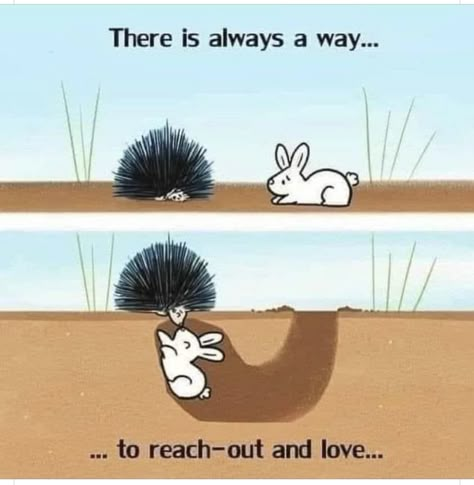 Porcupine bunny find love in friendship because the bunny found a way. There is always a way to reach out and love Healing Quotes Spiritual, Cartoon Images, Cute Comics, Spiritual Healing, Healing Quotes, Pretty Words, Pretty Quotes, Beautiful Quotes, Cute Drawings