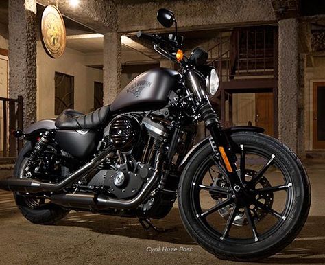 Hd 883 Iron, Harley Davidson Kunst, Harley Davidson Cake, Moto Harley Davidson, Harley Davidson Wedding, Sportster Motorcycle, Мотоциклы Harley Davidson, Harley Davidson Sportster 883, Sportster Iron