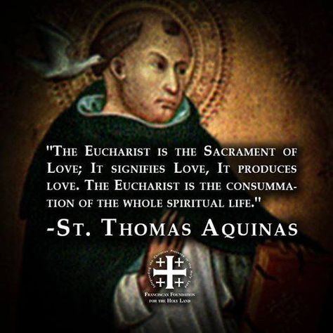 St. Thomas Aquinas on the Eucharist Eucharist Quotes, Luminous Mysteries, Dominican Friar, St Thomas Aquinas, Saints Quotes, Holy Eucharist, Saint Thomas Aquinas, St Faustina, Catholic Beliefs