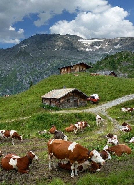 Mountain Farm, Dream Cottage, Beautiful Dream, Country Life, Farm Life, Beautiful Landscapes, Trekking, Places To See, Beautiful Nature