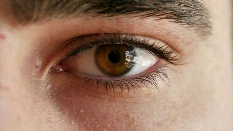 Honey Eyes Men, Light Brown Eyes Men, Dark Brown Eyes Men, Brown Eyes Aesthetic Boy, Brown Eyes Men, Brown Eyes Quotes, Brown Eyes Boy, Aesthetic Brown Eyes, Blue Eye Facts