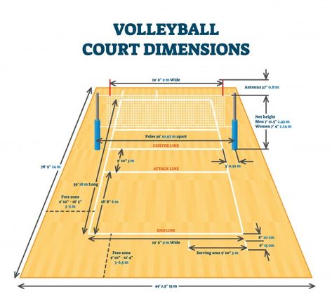 Volleyball court dimensions size guide, ... | Premium Vector #Freepik #vector #sports #volleyball #field #court Volleyball Court Diagram, Volleyball Court Size, Volleyball Court Backyard, Volleyball Court Dimensions, Guide Illustration, Volleyball Equipment, Beach Volleyball Court, Volleyball Posters, Indoor Volleyball