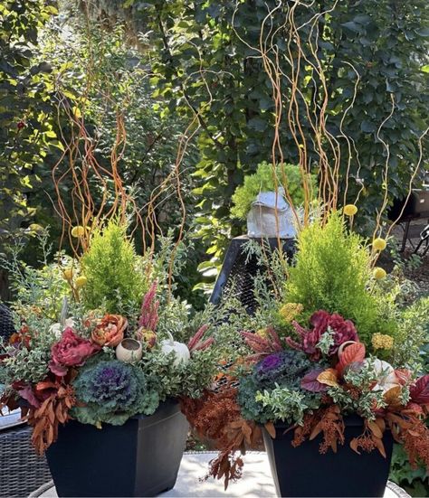 We are sharing our front porch Fall Decor along with tips and tricks to keeping your pumpkins lasting longer, what plants to pot for fall, along with more inspo! If you're ready to decorate your porch for Fall, we have you set! Fall Front Porch Flowers, Autumn Flower Pots, Fall Patio Plants, Fall Potted Plants Front Porches, Fall Flower Pots Front Porches, Easy Fall Porch Decor, Fall Planter Ideas, Fall Potted Plants, Cozy Fall Porch