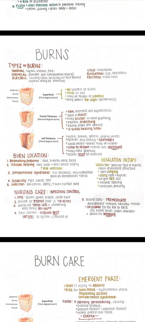 Burns Nursing Notes, Fundamentals Of Nursing Notes, Burns Nursing, Types Of Burns, Nursing Essentials, Nurse Teaching, Nurse Study, Student Tips, Nurse Study Notes