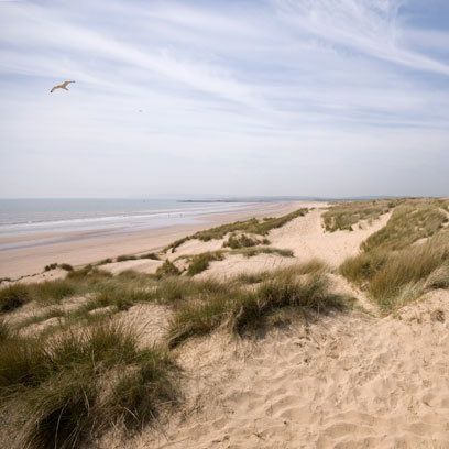 Camber Sands, British Beaches, Uk Beaches, English Summer, British Seaside, British Summer, Late Winter, Samar, East Sussex