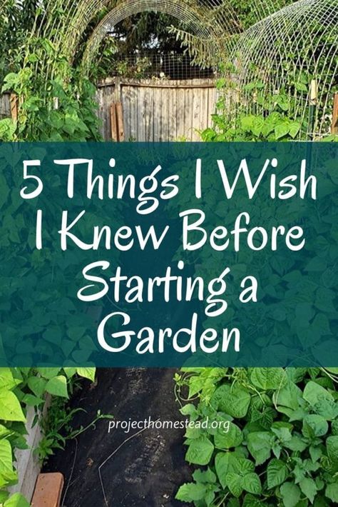 5 Things I Wish I Knew Before Starting a Garden - Project Homestead My First Garden Backyards, Designing A Vegetable Garden, Crop Garden Design, Raised Garden With Greenhouse, Starting A Raised Garden For Beginners, Garden Size For Family Of 5, Food Garden Layout Design, Starting A Garden Bed, Starting A Cottage Garden