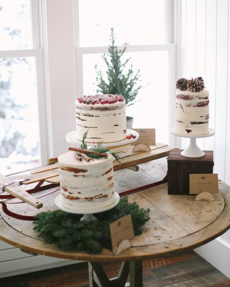 Decorate sweets with seasonal toppers. Sprigs of evergreen (think: spruce, cedar, or fir) can work for both the top and bottom tiers: "Evergreen wreaths make lovely additions to the bottom of cake stands. Opt for naked cakes with a snowy effect by dousing them with powdered sugar, or dip them in edible glitter for some glam. #winterweddingcakes #bridalshowerideas #weddingcakes #seasonalweddingcake | Martha Stewart Weddings - 19 Tips for Throwing the Ultimate Winter Bridal Shower Viking Vows, Christmas Bridal Showers, Wedding Cake Display, Winter Bridal Showers, Rustic Winter Wedding, Winter Wedding Cake, Naked Cakes, Delicious Cakes, Winter Wonderland Wedding