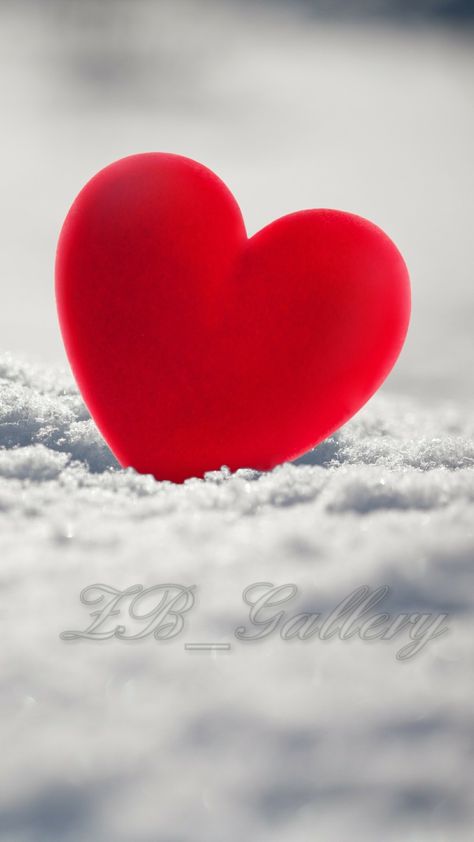 Amor 14 de febrero Love Heart Images, Love Wallpaper Backgrounds, Love You Images, Valentines Wallpaper, Cute Love Wallpapers, Beautiful Love Pictures, Heart Pictures, Heart Images, Flower Phone Wallpaper