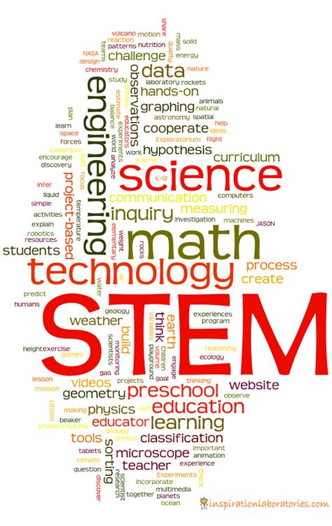 Light Microscope, Science Technology Engineering Math, Stem Curriculum, Stem Classes, Teaching Stem, Stem Lab, Stem Resources, Math 5, Stem Lesson