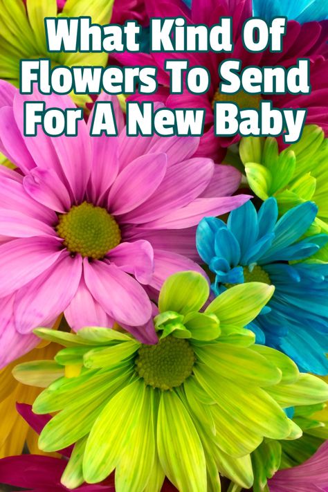 How to Send a New Baby Congratulation Flowers - Preemie Twins Baby Blog Preemie Twins, First Month Of Pregnancy, Congratulations Flowers, Baby Bouquet, Giving Flowers, Newborn Flower, Pregnancy Hormones, Best Flowers, Twins Baby