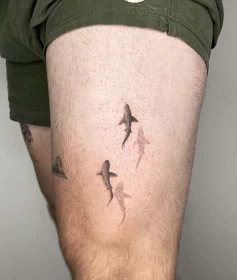 Mens Side Arm Tattoo, Shark Tooth Spine Tattoo, Tattoos For Men Genital, 2 Shark Tattoo, Small Shark Tattoo Men, Red Shark Tattoo, Black Tip Shark Tattoo, Shark Spine Tattoo, Tiny Shark Tattoo