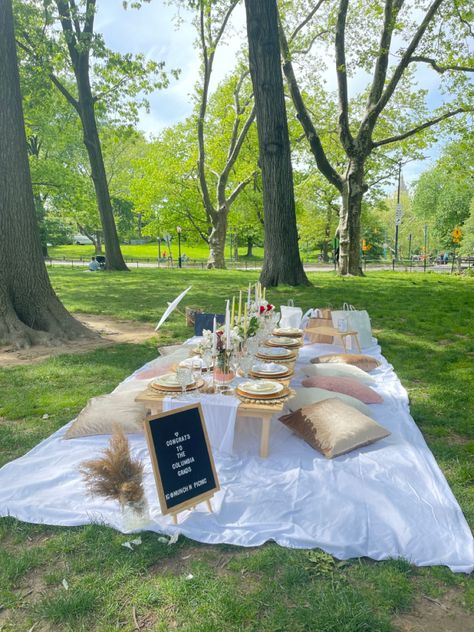 Outdoor Park Birthday Party Picnic Ideas, Birthday Picnics In The Park, Picnic Park Party, Simple Picnic Party, Central Park Birthday Picnic, Aesthetic Outdoor Birthday Party, Summer Park Birthday Party Ideas, Grad Picnic Ideas, Park Party Aesthetic