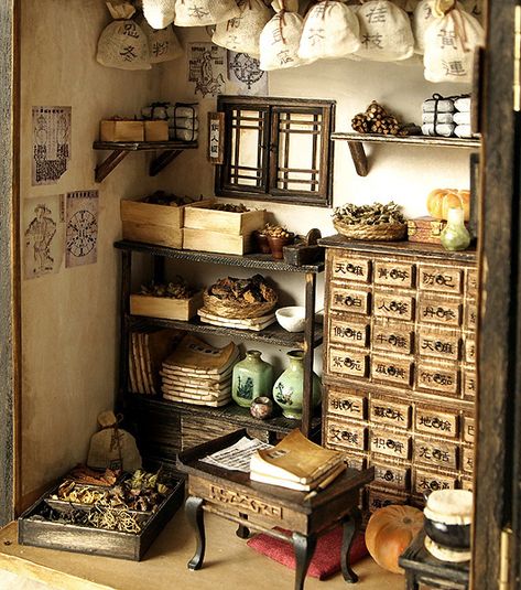 Herbal Pantry, Chinese Apothecary, Herbal Apothecary, Casa Vintage, Miniature Rooms, Miniature Houses, Miniature Crafts, Room Box, Zaha Hadid