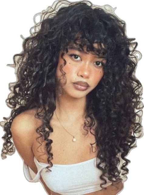 3b Curly Hair, Natural Curly Wig, Face Framing Hair, 3b Hair, Everyday Curls, Natural Curly Hair Cuts, Curly Hair Photos, Big Curly Hair, Different Hair Types