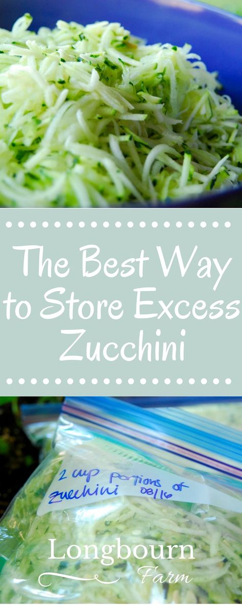 Find out the best way to store excess zucchini! Shredding and freezing it is the way to go! It's easy, fast, and lets you enjoy it all winter long. Can You Freeze Zucchini, Store Zucchini, Freeze Strawberries, Freezing Strawberries, Freezing Zucchini, Zucchini Recipes Dessert, Healthy Breakfast Snacks, Canning Vegetables, Stay Focus