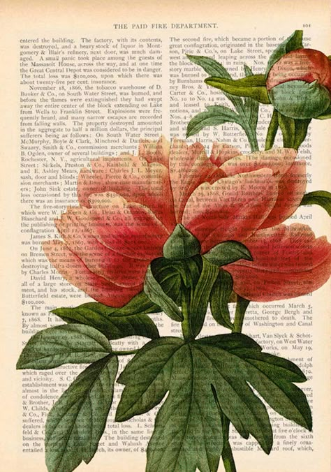 upcycled peony art print Natural Form Painting, Flower Painting Vintage, Art On Old Book Pages, Natural Forms Art Ideas, Natural Forms Aesthetic, Contrast Gcse Art, Paint On Book Pages, Flowers Gcse Art, Contrast Art Ideas