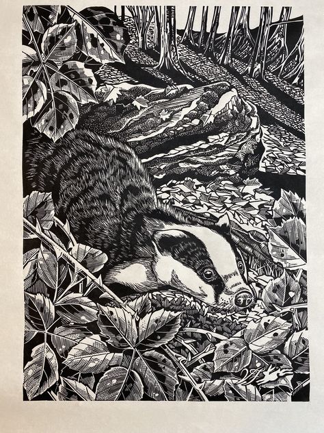 Badger Linoprint , now available on my Etsy page 🦡 Bookplate Design, Printmaking Techniques, Lino Cuts, Copper Engraving, Water Nymphs, Linocut Art, Relief Print, Wood Engraving, Lino Print