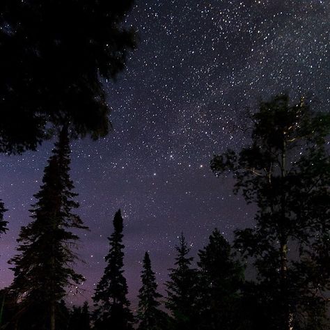 Crooked Porch Sky Day, Scenic Travel, Starry Night Sky, Earth From Space, The Northern Lights, Pure Michigan, Northern Michigan, To Infinity And Beyond, Dark Skies