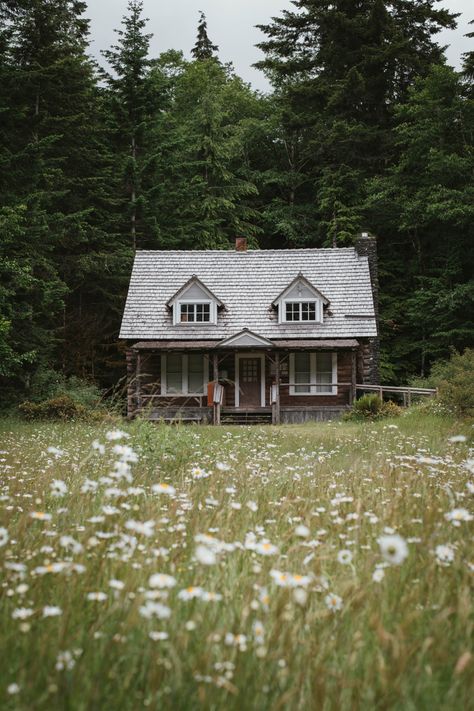 Cottage In The Woods Aesthetic, Country House Exterior, Old Country Houses, Little Cabin In The Woods, Woodland House, Fairytale House, Cabin Aesthetic, Small Cottage Homes, House Aesthetic