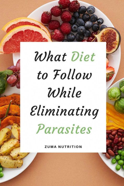 #DietAdvice What To Eat While Doing A Parasite Cleanse, What To Eat On A Parasite Cleanse, Foods To Eat During Parasite Cleanse, What To Eat During Parasite Cleanse, All Natural Parasite Cleanse, Parasite Cleanse Food List, Parasite Cleansing Herbs, How To Parasite Cleanse, Foods To Get Rid Of Parasites