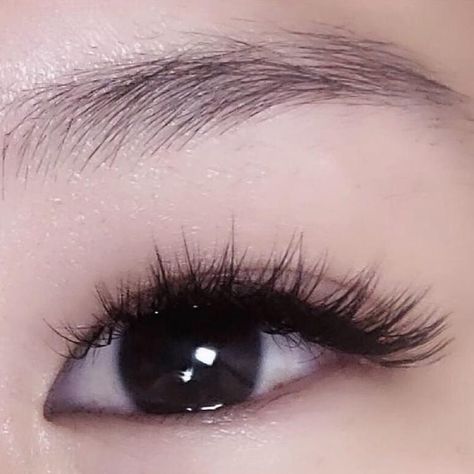 L Curl Lashes, Monolid Eyes, Monolid Makeup, Wispy Eyelashes, Cute Eyeshadow Looks, Volume Lash Extensions, Doll Eye Makeup, Eyelash Extentions, Curl Lashes