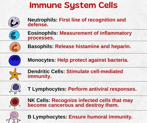 X Immune System Nursing, Immunity Nursing, Hematology Nursing, Immune System Cells, Scientific Method Worksheet, Pediatric Medicine, Body Chart, Medical Words, Nursing School Essential