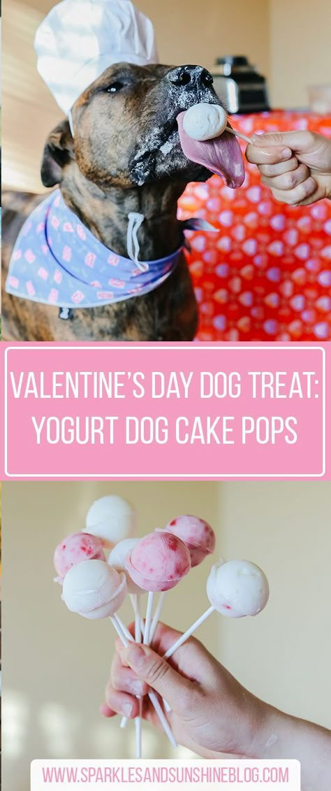 Dog Cake Pop Recipe, Dog Daycare Valentines Day, Dog Cake Pops For Dogs, Dog Safe Treats, Strawberry Dog Treats Recipes, Valentines Dog Treats Recipe, Cold Dog Treats, Valentine Dog Treats Homemade, Valentines For Dogs