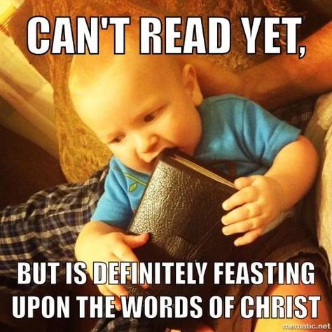 Funny Church Memes, Mormon Jokes, Church Jokes, Mormon Humor, Mormon Memes, Lds Memes, Church Memes, Church Humor, Mormon Quotes