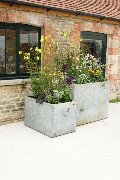 Galvanized Planters, Contemporary Garden Design, Small Courtyard Gardens, Winter To Spring, Farmhouse Garden, Garden Containers, Courtyard Garden, Farm Gardens, Small Gardens