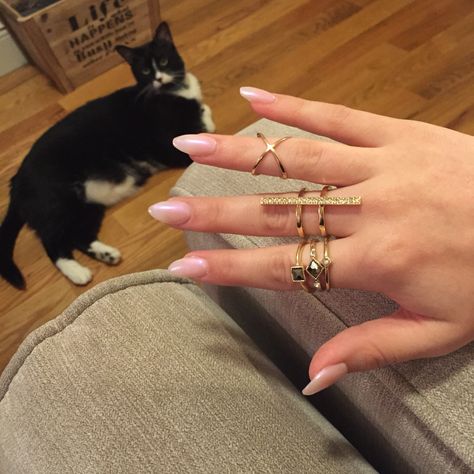 Mildly obsessed with my new Kylie Jenner inspired stiletto nails. UV gel full set with OPI Altar Ego #nails #nailporn #stiletto #stacking #rings   IG:okbishop Kylie Jenner French Tip Nails, Nail Cartier Ring, Cartier Nail Earrings, Kylie Jenner Nails 2016, Gel Full Set, Nails Uv Gel, Stiletto Leopard Nails, Obsessed With Me, Uv Gel