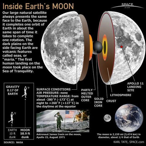 Our large, natural satellite always presents the same face to the Earth because it completes one orbit of Earth in about the same span of time Earth completes one rotation. Moon Infographic, Space Infographic, Moon Facts, Astronomy Facts, Astronomy Science, Planets And Moons, Space Facts, Earth From Space, Our Solar System