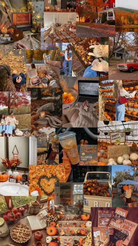 Fall aesthetic collage October Aesthetic Collage, Forest Aesthetic Collage, Collage Wallpaper Fall, Fall Aesthetic Collage, November Collage, Fall Collage Wallpaper, Fall Backrounds, Thanksgiving Collage, Fall Collage