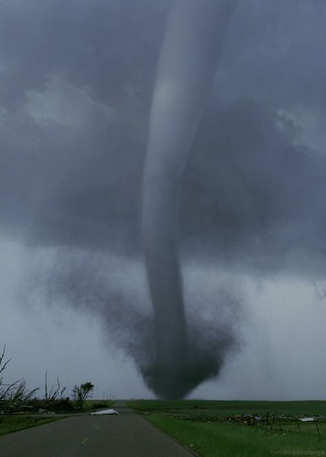 …and there are actual wind clouds that we call tornados that just spin and look like this. | 22 Mesmerizing GIFs That Prove We Live On An Insane Planet Tornado Gif, Tornado Alley, Animated Pictures, Weather Storm, Storm Chasing, Storm Photography, Wild Weather, Awesome Nature, Amazing Gifs