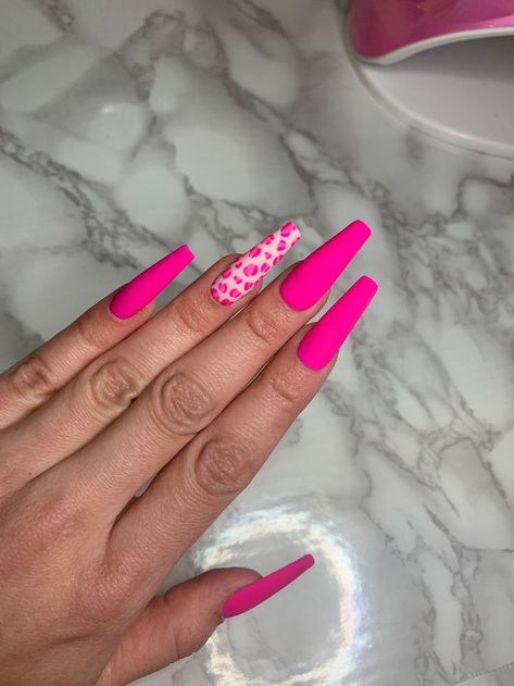 Barbie Nails Coffin, Neon Cheetah Print Nails, Bubble Gum Pink Nails Design, Hot Pink Cheetah Nails, Hot Pink Sparkle Nails, Hot Pink And White Nails, Barbie Pink Nails With Design, Pink Cheetah Print Nails, Hot Pink Acrylic Nails