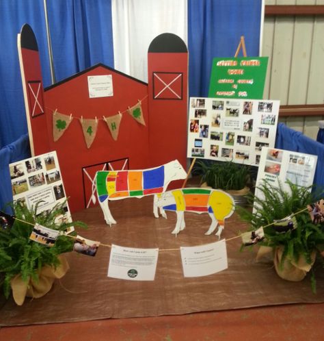 Capture livestock club fair booth NFF Fair Display Booth, Fair Display Ideas, 4h Fair, Ag Day, Ag Teacher, 4 H Club, Fair Booth, Fair Display, Fall Fest