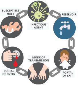 Modes of transmission Chain Of Infection, Infection Control Nursing, College Nursing, Basic Anatomy And Physiology, Nursing Mnemonics, Nursing Student Tips, Fundamentals Of Nursing, Infection Prevention, Nursing School Tips