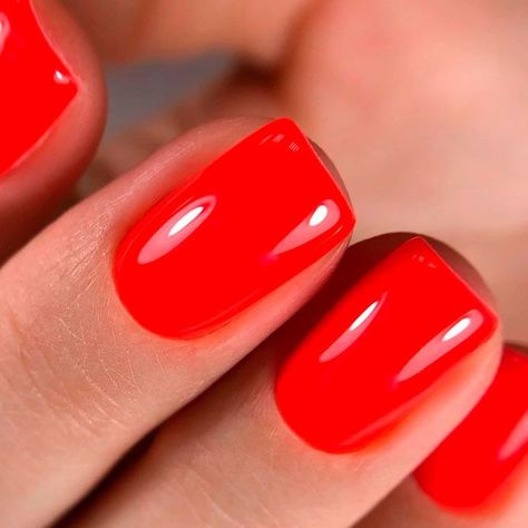 Trendy Manicure Ideas In Fall Nail Colors Inspired #nails Fall Bright Nails, Orange Red Nail Polish, Red Orange Nails Design, Bright Red Orange Nails, Orangey Red Nails, Orange Red Nails, Red Orange Nails, Bright Red Nails, Orange Nail Polish