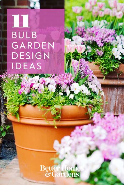 Spring Bulbs Garden Flower Beds, Spring Bulbs Garden Design, Bulb Garden Design, Bulbs Garden Design, Spring Bulbs Garden, Bulb Garden, Creeping Phlox, Garden Flower Beds, Garden Design Layout