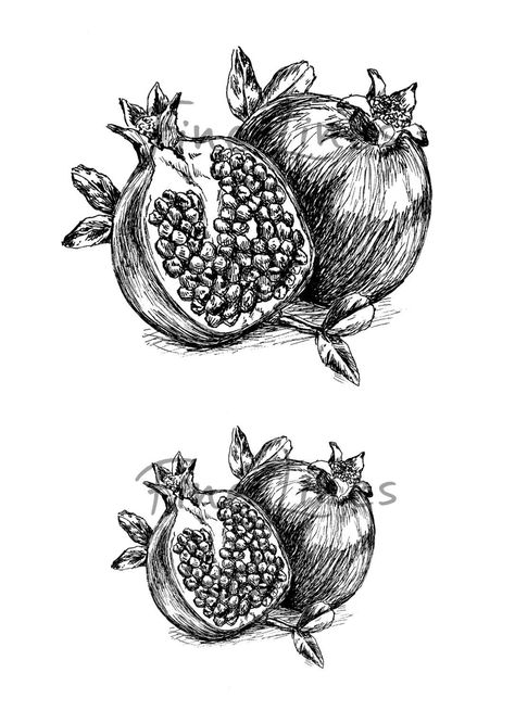 Diy Coloring Pages, Sketch Fruit, Pomegranate Drawing, Pomegranate Tattoo, Pomegranate Print, Pomegranate Art, Spooky Tattoos, Black And White Sketches, Ink Illustrations